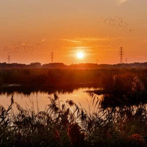 Zonsondergang boven de oude Rijn in Pannerden