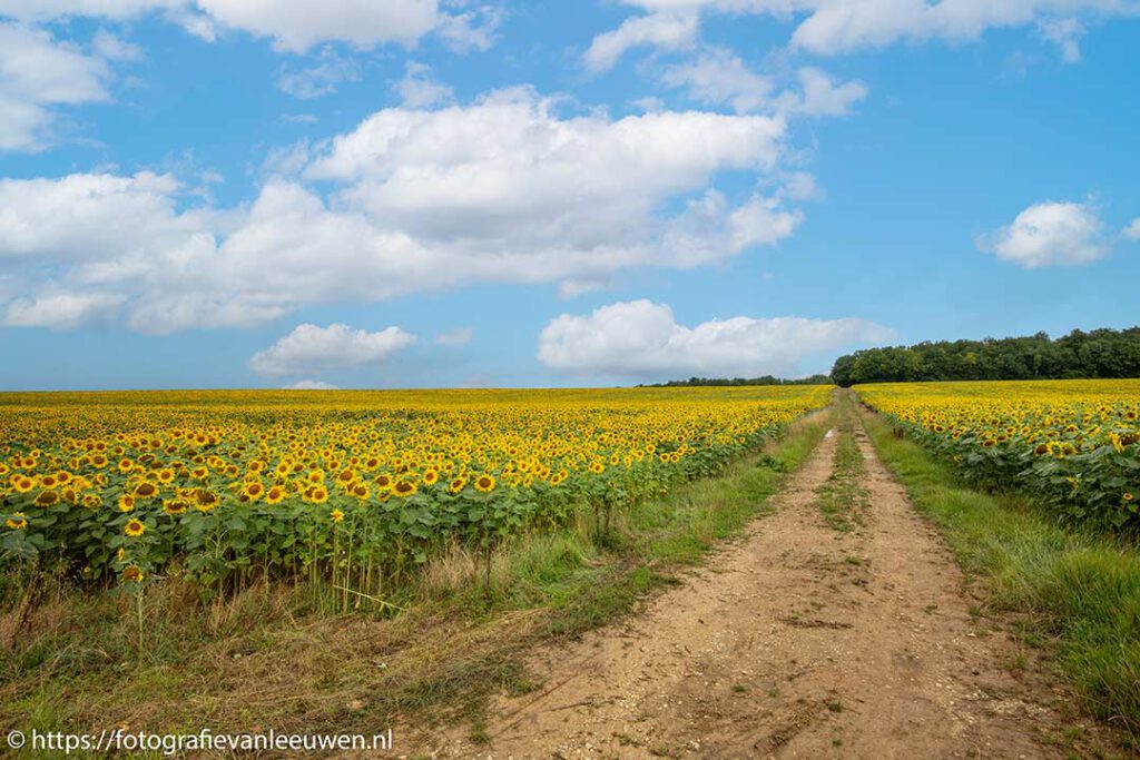 fotoverkoop-werk-aan-de-muur