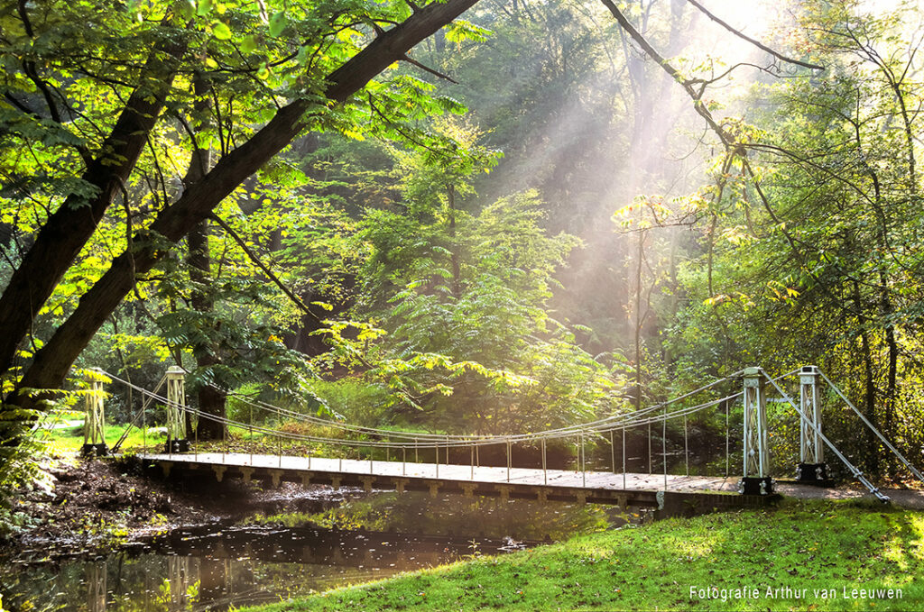 sonsbeek-brug-zonnestralen-fotoverkoop